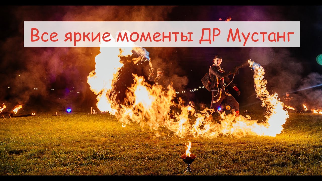 Мустанг сибирь. Мустанг-Сибирь Барнаул. Сибирский Мустанг.