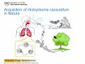 Dimorphic Fungi: Histoplasmosis [Hot Topic]