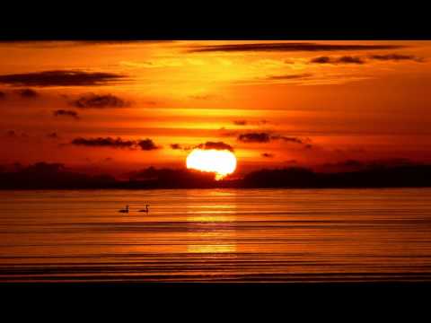 moby one of these mornings скачать