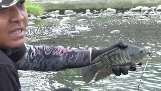 Heboh..! Saat mancing dapat ikan nila besar warga pada turun ke sungai