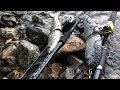 Japanese Swimbaiters vol.1〜琵琶湖のほとりにビッグベイター二人〜【琵琶湖】