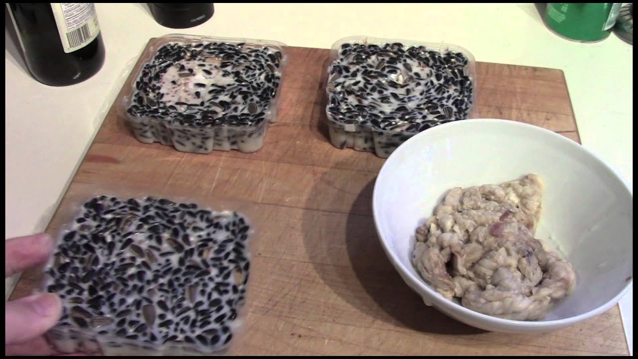 Homemade Bird Food Suet Cakes. YouTube