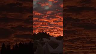 louisarmstrong wonderfulworld nature dailyshorts youtubeshorts art music sky 1k redsun