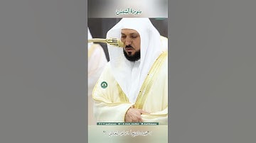 تلاوة خاشعة 🕊 سورة الشمس  🌿  #_للشيخ أ.د #ماهر بن حمد #المعيقلي