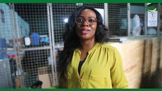 ShiptoNaija Review