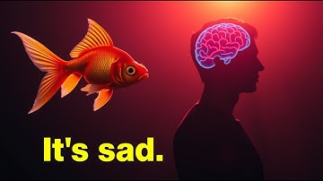 3 Minutes to Save Your Attention Span