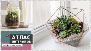 Флорариум своими руками или cад в бутылке. 70 идей как сделать цветочный террариум Флорариум своими руками или cад в бутылке. 70 идей как сделать цветочный террариум