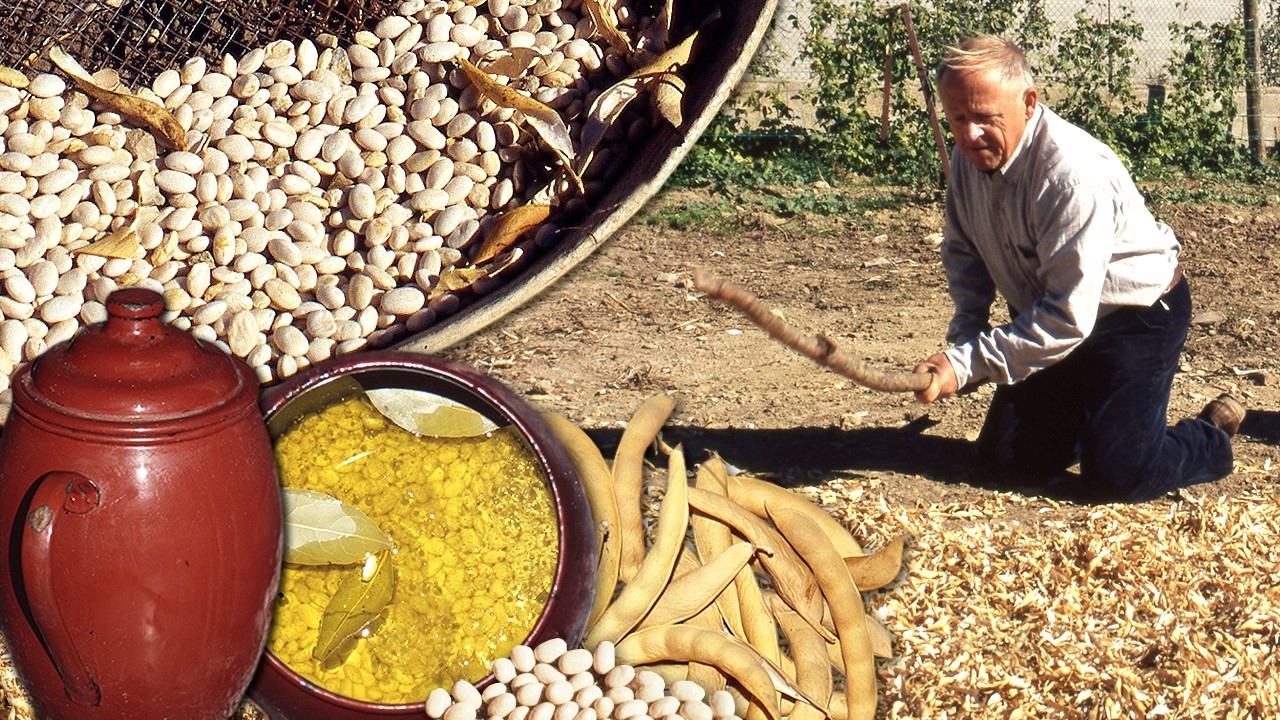 Высококачественные бобы с 300-летней традицией. Очищены и используются в тушеных блюдах