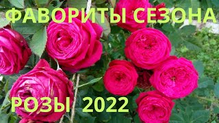 Лучшие розы сезона 2022.