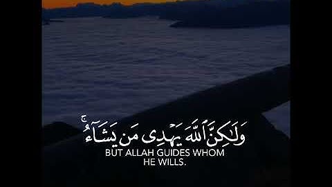 انك لا تهدي من أحببت ولكن الله يهدي من يشاء | تلاوة خاشعة