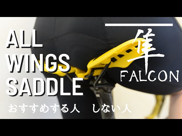 自転車のウィングサドル『隼』おすすめする人しない人 - YouTube