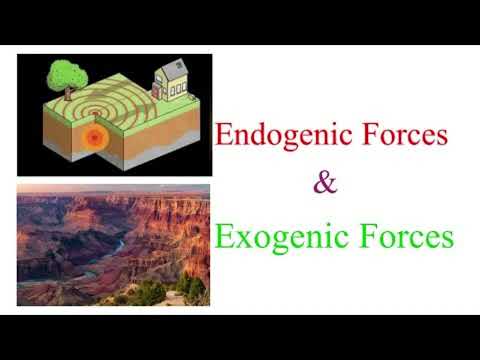 𝑸&𝑨:How do endogenic