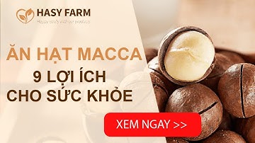 Hạt mắc ca có tác dụng gì? 9 lợi ích tuyệt vời của hạt macca đối với sức khỏe