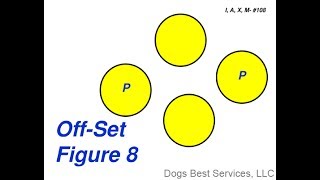 Celebrity AKC Rally Advanced Sign #108 : Offset Figure 8 Wealth
