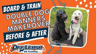 Birmingham Dog Trainers Double Dog Manners Makeover!
