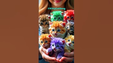 Kucing Nyanyi Pok Ame ame Belalang Kupu kupu #kucing #kucinglucu #kucingnyanyi
