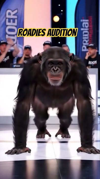 Roadies Audition: Chimpanzee Doing Pushups to Clear the Round 🐒💪🤣 #Shorts #elvishyadav