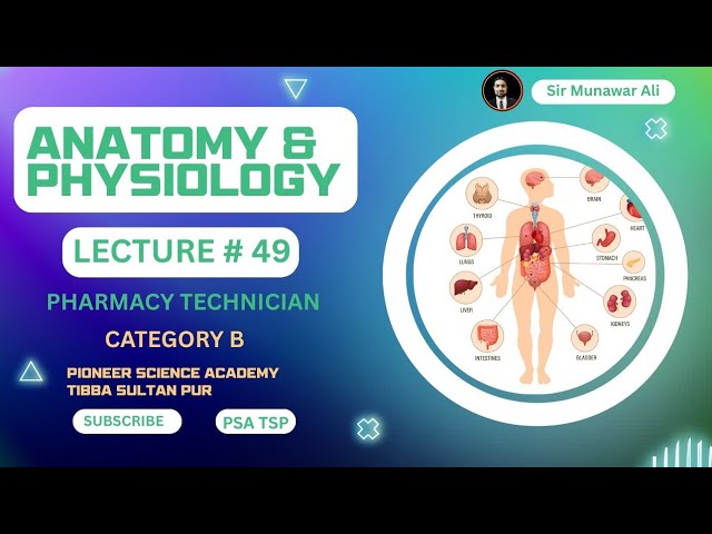 Respiratory System || Inhaltion and Exhalation ||
