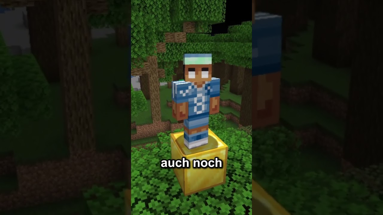 Der teuerste Minecraft Account