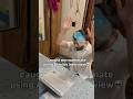 Comment app to get the link 🔗 #ai #job #lockedin #tech #trending #funny #viral #comedy #stitch