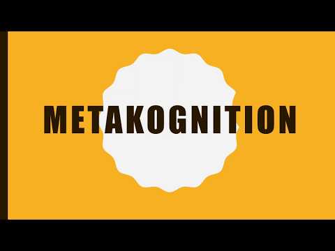Video: Vad är det metakognitiva förhållningssättet?