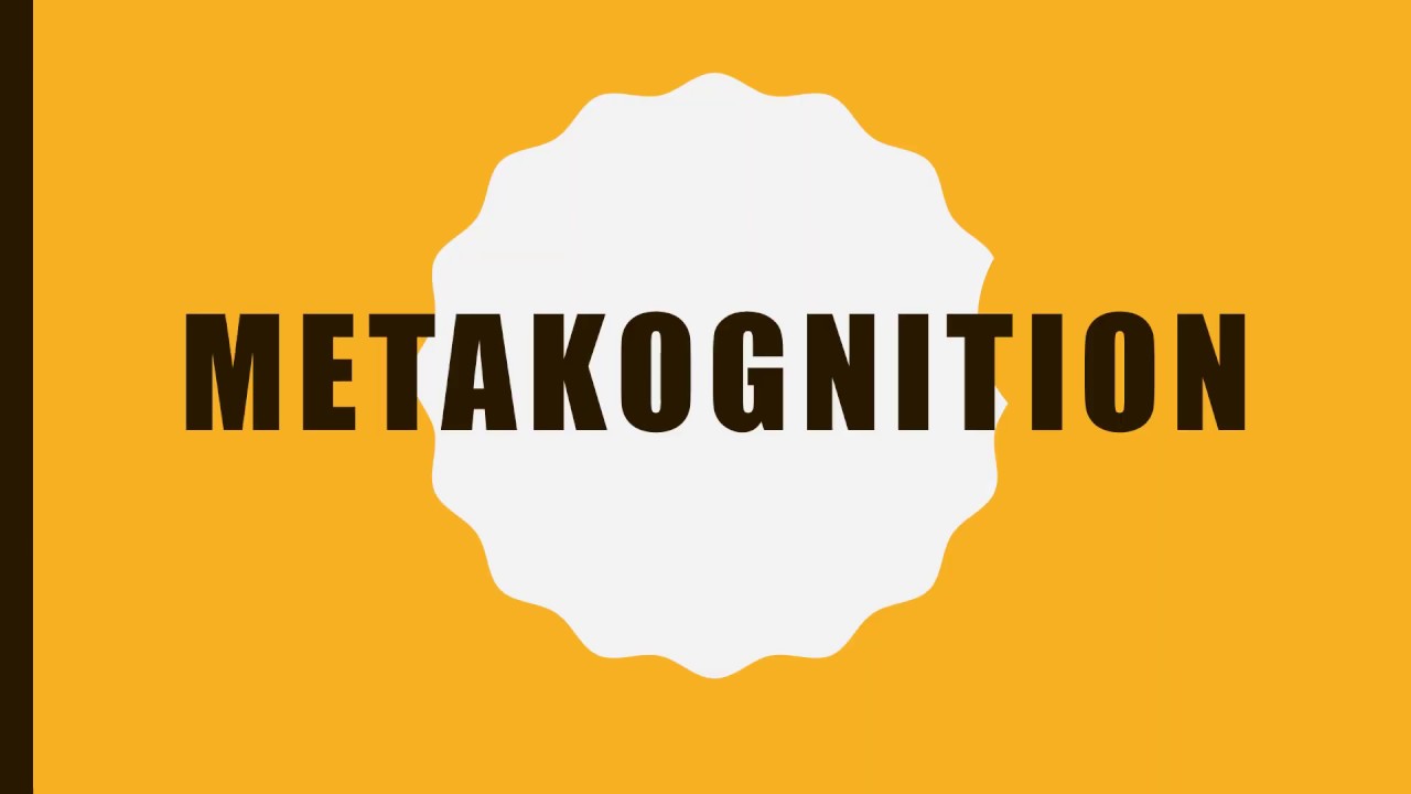Metakognition - Att utveckla förmågor på vetenskaplig grund klipp 1