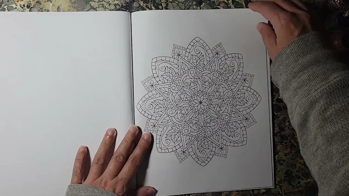 Full flip through of Lighthearted Mandalas by Snic...