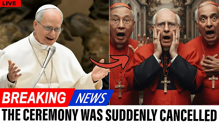 Pope Leo XIV Suddenly Cancelled the Ceremony — What He Revealed Next Silenced the Entire Vatican