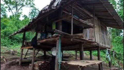 Dab Neeg Mus Zov Teb Poj Ntxoog Los Tsuab Qaib