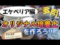 あの培養土を使ってオリジナル培養土を作ろう!「エケベリア編」 多肉生産者「pukupuku taniku」