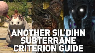 Another Sil'dihn Subterreane Criterion GUIDE (Normal/Savage)