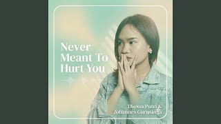 Never Meant to Hurt You
