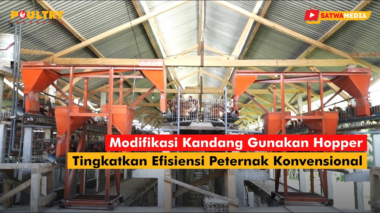Modifikasi Kandang, Tingkatkan Efisiensi Peternak Konvensional