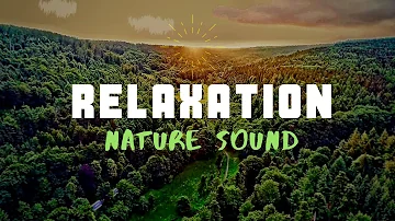 60 Minute Guided Meditation Music - Relaxation With Nature Sound