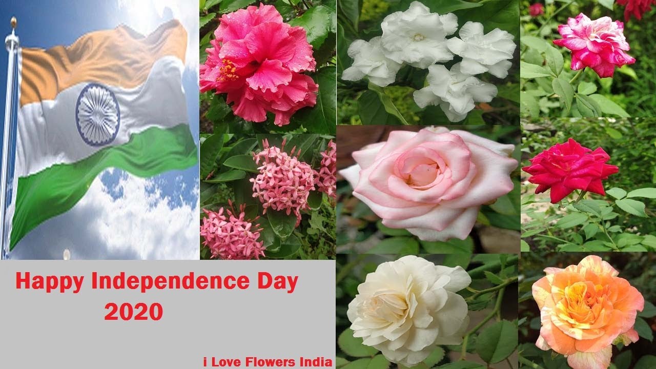 Happy Independence Day 2020 | Beauty of India | I Love Flowers ...