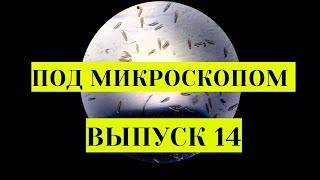 Кристаллизация аптечного йода х120