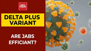 Delta Plus Variant : Lancet Data Raises Alarm Over Vaccine Efficacy