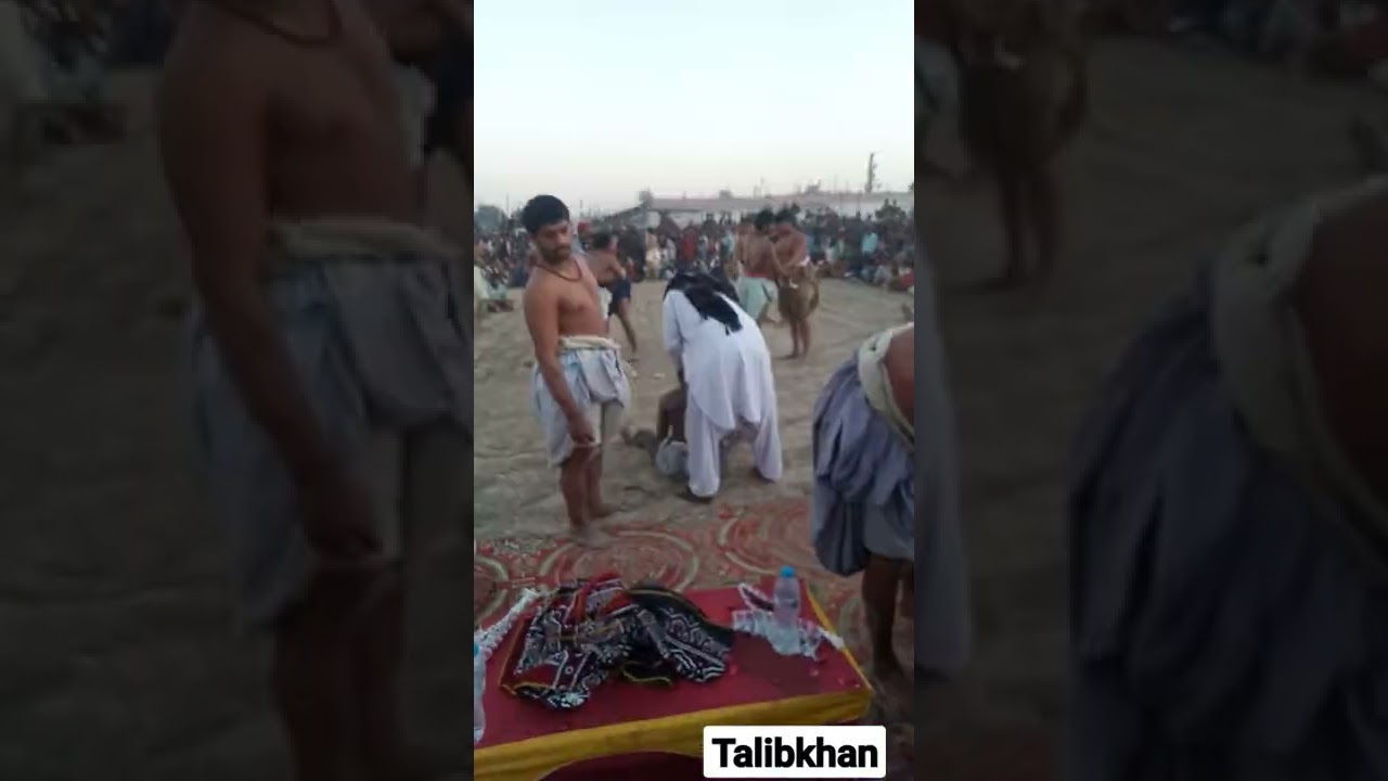 Bhorti Malakhra 2022 Teddy sheedi vs Allah warayo  sohoo