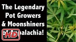 The Legendary Pot Growers and Moonshiners of Appalachia.