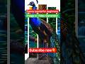 Canva Tutorial for Beginners | Image to Video Generator #canva #shorts #graphicdesign