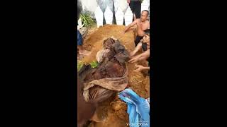 Proses penggalian kubur dan menemukan tulang belulang 13 tahun didalam kubur