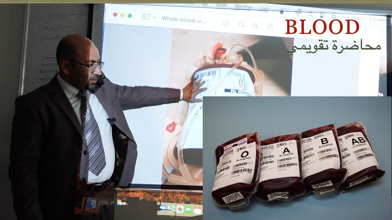 Lec BLOOD 2024 محاضرة