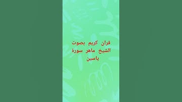 #قران كريم سورة ياسين #quran #تيك_توك #ترند