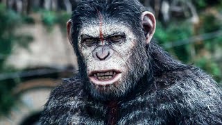 Dawn of the Planet of the Apes  All Clips From The Movie (2014)