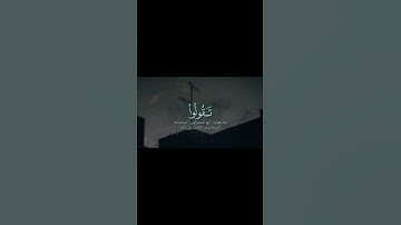 ﴿وَلَا تَقُولُواْ لِمَا تَصِفُ أَلْسِنَتِكُمُ الْكَذَبَ﴾#المنشاوي..🤍🥀//تدبروا آيات الله..