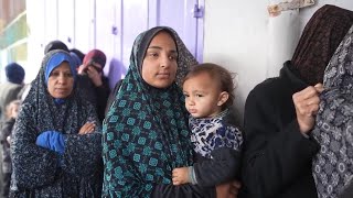 People in Gaza queue for hours to get bread as the humanitarian crisis worsens