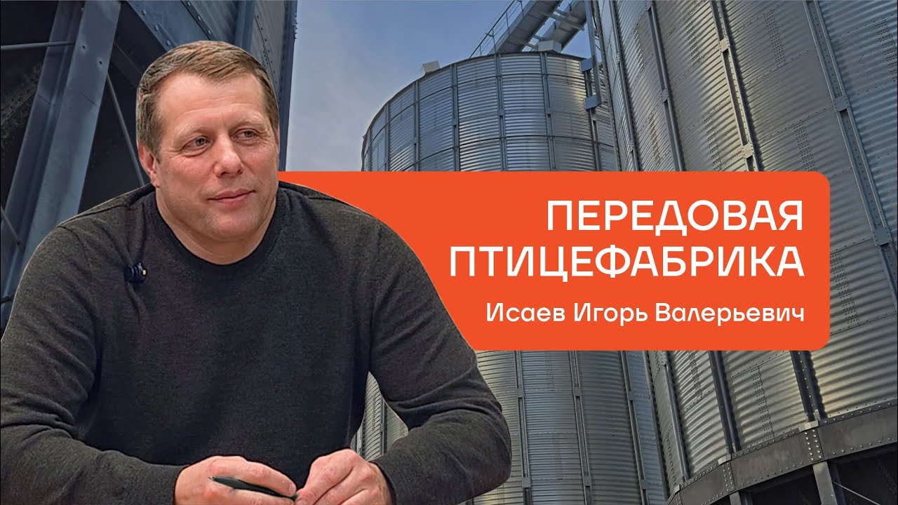 Птицефабрика ЗАРЯ: обзор одного из самых передовых предприятий отрасли, интервью с директором