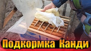 Подкормка пчел зимой. Зимняя подкормка пчел Канди, лечебная подкормка отводков зимой Подкормка пчел зимой. Зимняя подкормка пчел Канди, лечебная подкормка отводков зимой