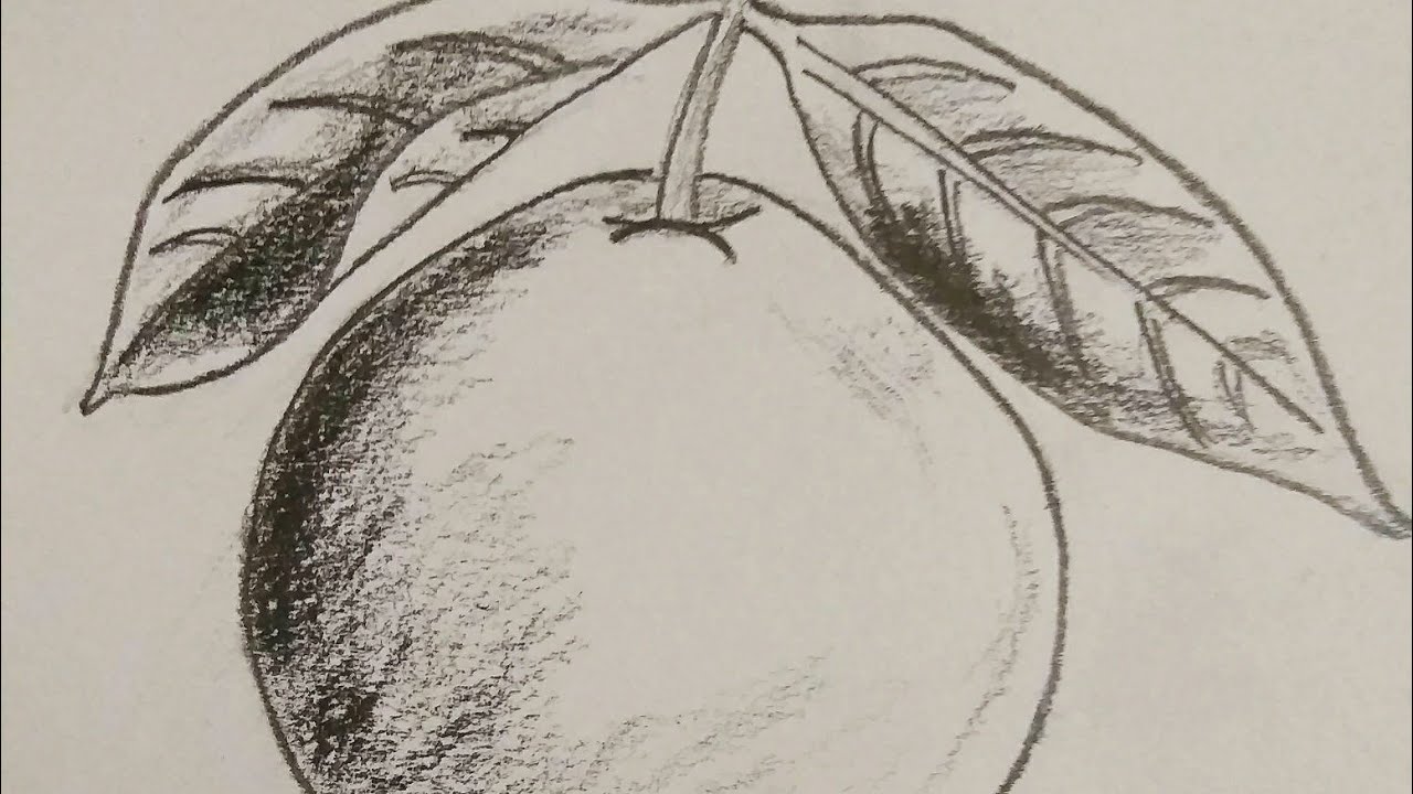 Guava || Amrood kaise banate hain ||