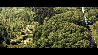 "Przeżyj to! Polskie parki narodowe" - Kampinoski Park Narodowy